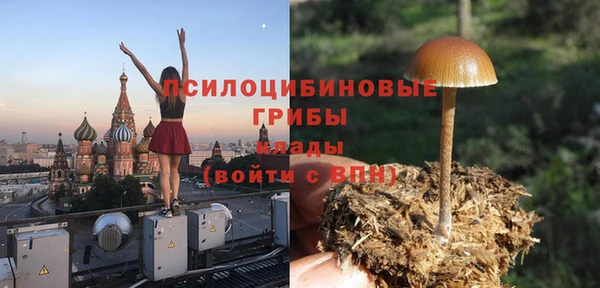стаф Горно-Алтайск
