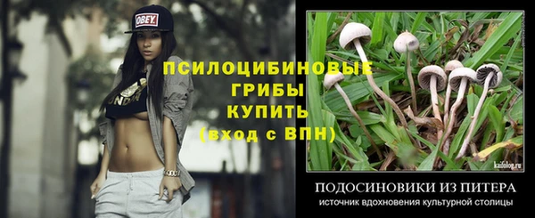 герыч Горняк