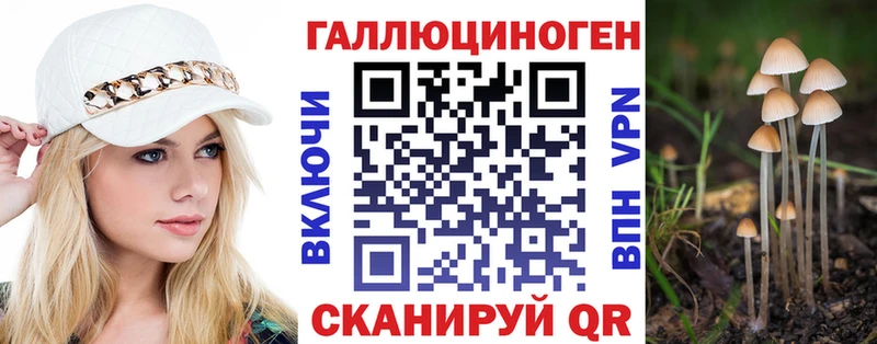 Купить  Новопавловск  Псилоцибиновые грибы MAGIC MUSHROOMS 