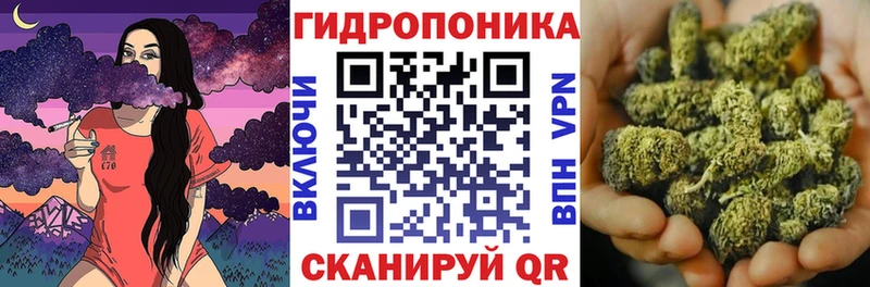 Шишки марихуана сатива  Купить где  Новопавловск 